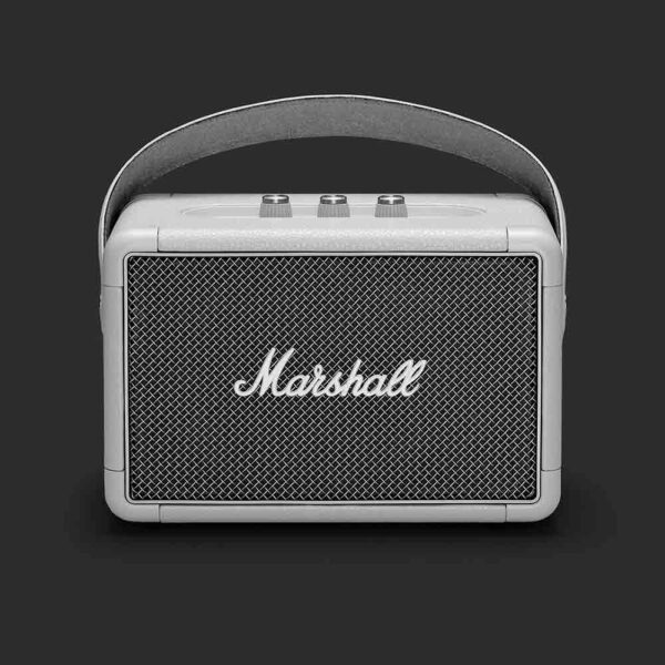 Heavy Sound Travel Speaker